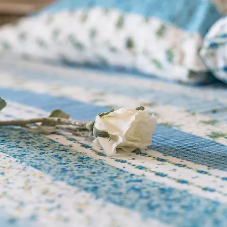 & Stella * Dubrovnik